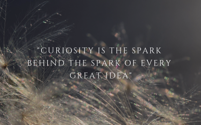 Quote: Intrinsic motivation and curiosity