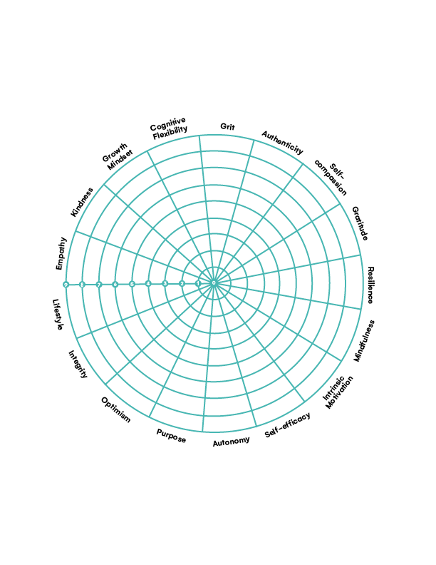 assessment wheel for umbrella skills